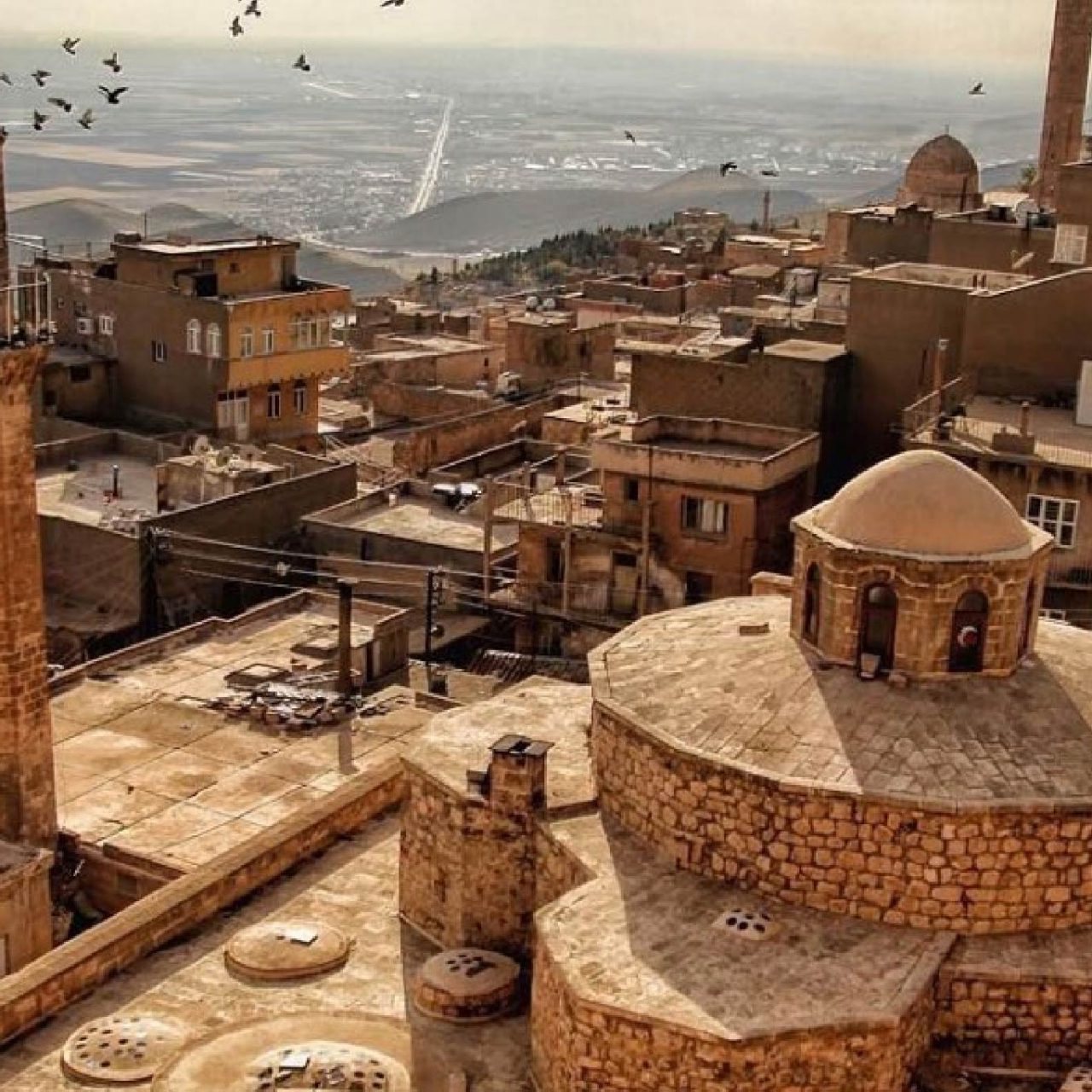 BÜYÜK GAP TURU 6 - 11EYLÜL 2026