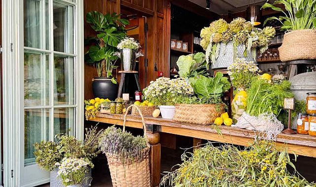 ALAÇATI OT FESTİVALİ TURU 25- 26 NİSAN 2026 1 GECE KONAKLAMALI